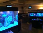 新宿キャバクラ新宿 ゼーレ