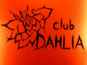 銀座ニュークラブ銀座 DAHLIA(ダリア)